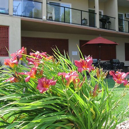 Desert Surfside Waterfront Accommodations 오소유스 외부 사진